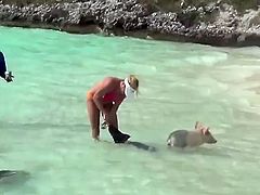 Swimming Pigs with girls in beach, Exuma, Bahamas