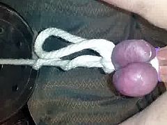 Testicle weight lifting