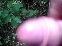 wanking in the woods