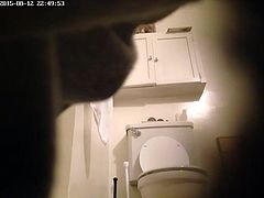 hidden toilet cam