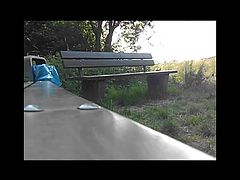 Bench