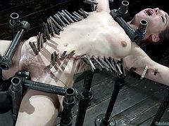 The kinky bondage device is the perfect machinery for torturing slutty bitches like Gabriella! Click to watch this naked babe with small tits, wearing clothespins and a mouth gag. She's totally helpless and has to face a merciless executor, who wants to punish her through a brutal orgasm...
