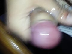 LECHE