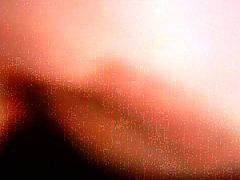 lucia l di milano a pecorina