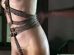 She has a strong will, because she is able to endure hard whipping and beating from her cruel master. She is finally let down from the bondage and made to suck on her master's cock, until he cums hard.