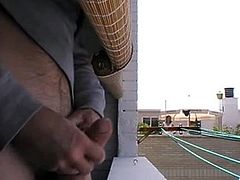 neighbour watches