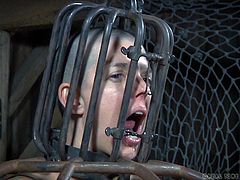 Abigail Dupree literally looks like a bird in a cage. Click to watch this bald babe, tightly compressed in a metal bondage cage, with no chance to escape from her tormentors. Don't miss the inciting scenes! Enjoy!