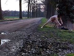 strippen tussen de bomen