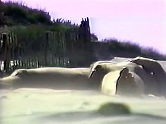 Guardone in spiaggia - Beach Voyeur