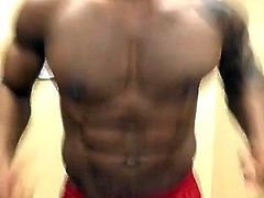 sport big bulge