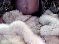 fucking various furs till i CUMM