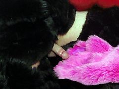 Fox fur stroking #1