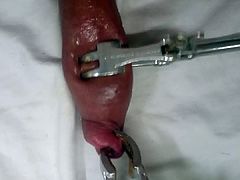 CBT