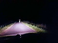 Road to freedom