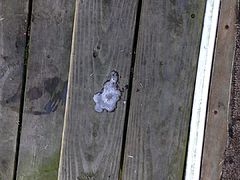 My Spit Video 18 Spitting in the porch