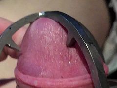 Super glued spiked chastity