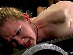 Have you ever seen brutal australian lezdom destruction and rope bondage? No? Now here is your chance to enjoy how hot busty milf, Rain DeGrey, will be punished by Nika Noire. Pull your dick out of your pants and have fun!