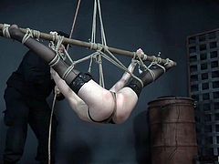 She looks like a butterfly entangled in the webs of a huge spider and no one will come to her rescue. All this stuff may look terrifying, but she feels herself good, as we can judge from the blissful expression of her face and her soft moans. Join and enjoy hard rope bondage!