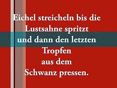 Eichel streicheln