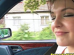 Hitch hiking euro babe strokes cock of driver