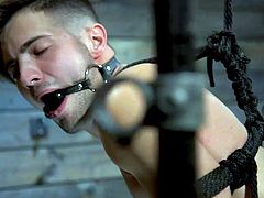 Did you ever had rough sex somewhere in the dungeon, being absolutely helpless and bound? No? Well, here is your chance to see how it would feel like. Pull your dick out of your pants and enjoy our hot gay bdsm session!