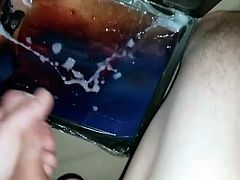 Hstctribute