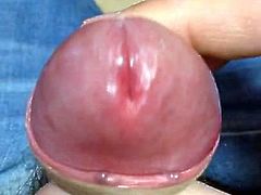 Foreskin play