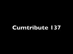 Cumtribute 137