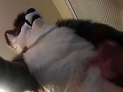 more furrrryyyyyy cummmmmies