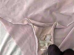 Cumming in wifes panties again