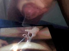 tribute