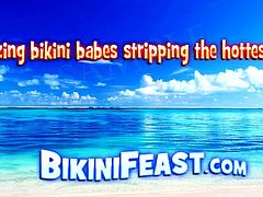 Sweet brunette in fishnet bikini bra