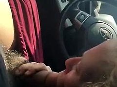 Hot Blowjob In The Car
