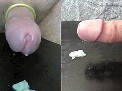 Homosexuals Video