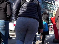 LOUDMOUTH PAWG IN GREY