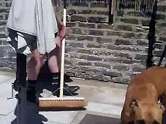 Domesticated Sub P