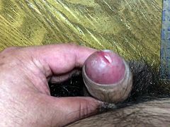 my penis