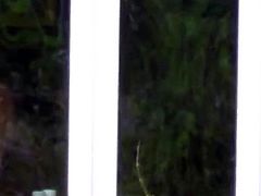 Mature Neighbor Voyeur