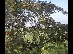 Outdoor masturbation in a field