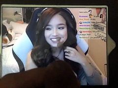 Digbick1025 - Pokimane cum tribute mid stream