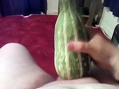 HANDS FREE CUM use MARROW