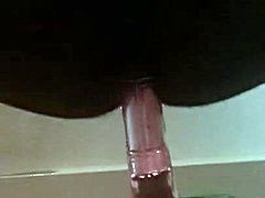 Sissykelly5225