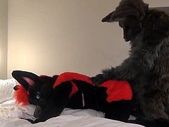 Darkwingo fucks a wolfboi in hotel room