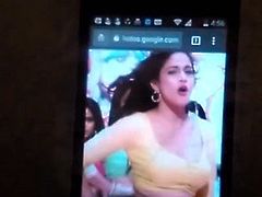 My Cum Tribute on Lavanya Tripathi