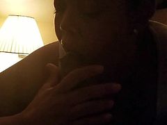 Late night dick sucking from the wife