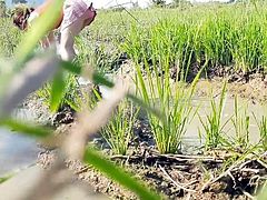 village lady in rice field upskirted