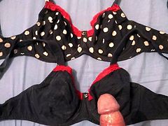 three new bras for the big dick of hofredo