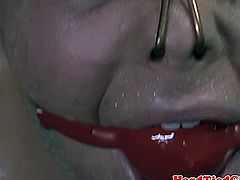 Tied up ballgagged bdsm sub roughed up
