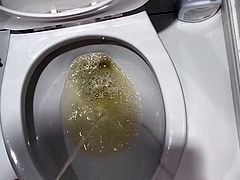 Toilet humiliation faggot