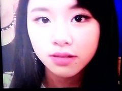 Twice Chaeyoung Cum Tribute